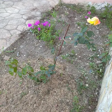 Vossos εξοχικεσ κατοικιεσ Holiday home